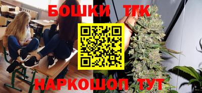шишки Гай