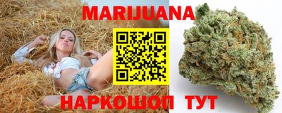 шишки Гай