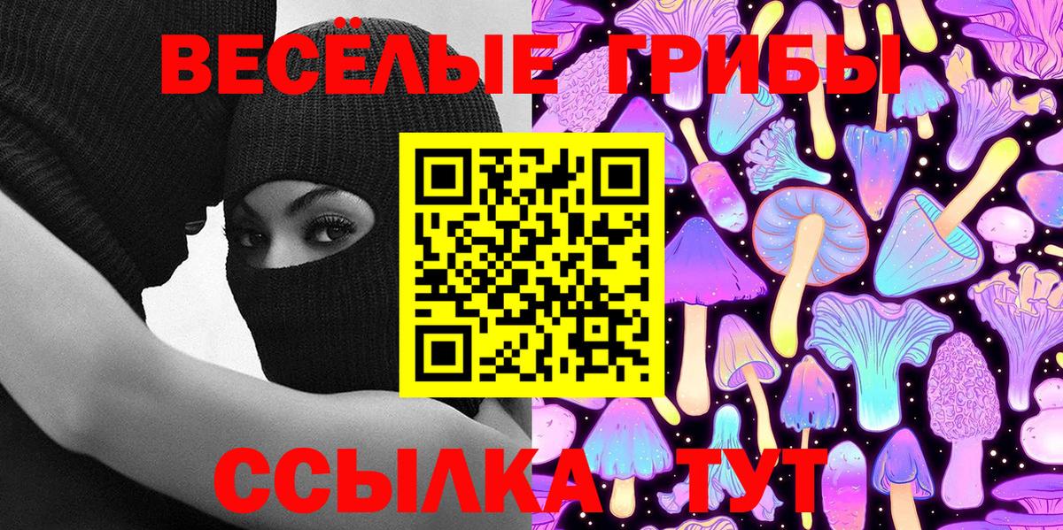 Псилоцибиновые грибы Psilocybine cubensis Карабулак